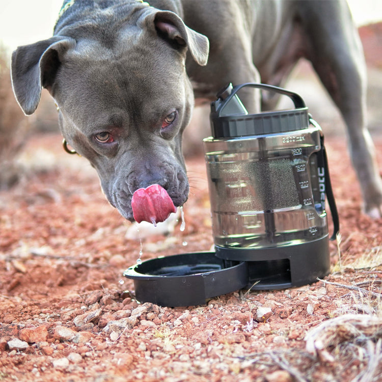 Large Dog Travel Water Bowl Dispenser