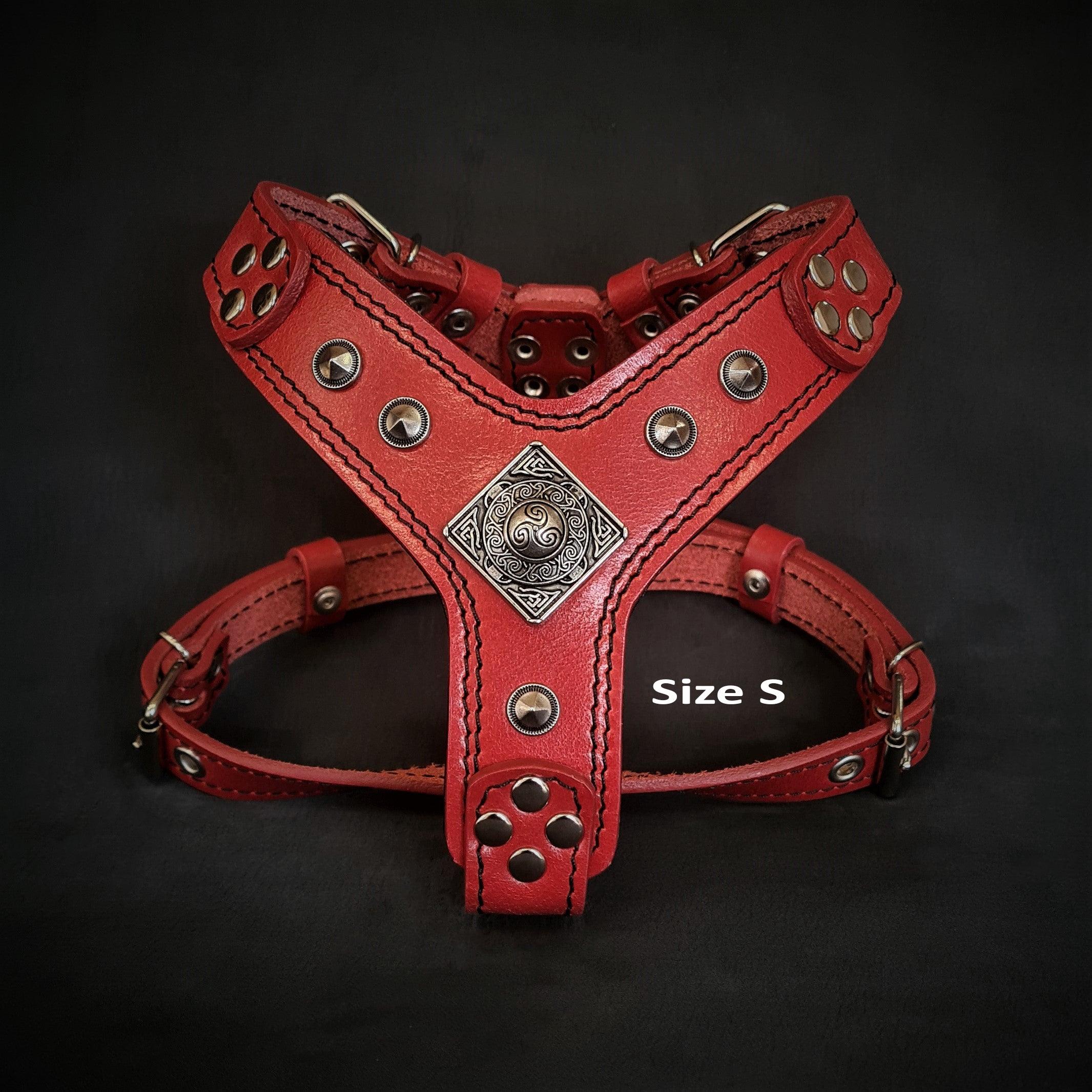 The ''Eros'' harness red Small to Medium Size - immagine 2