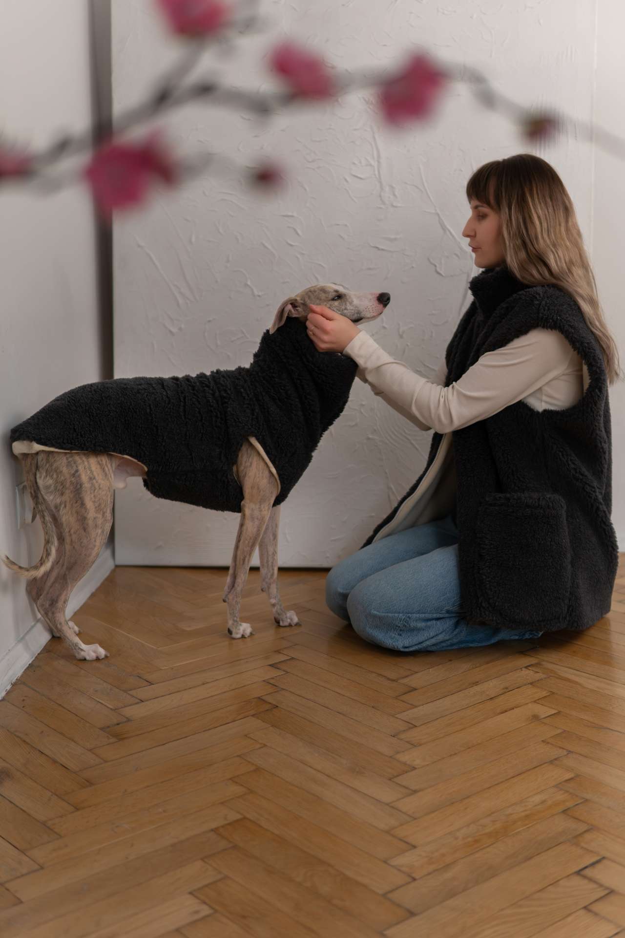 Woolen Dog Vest - Charcoal - immagine 2