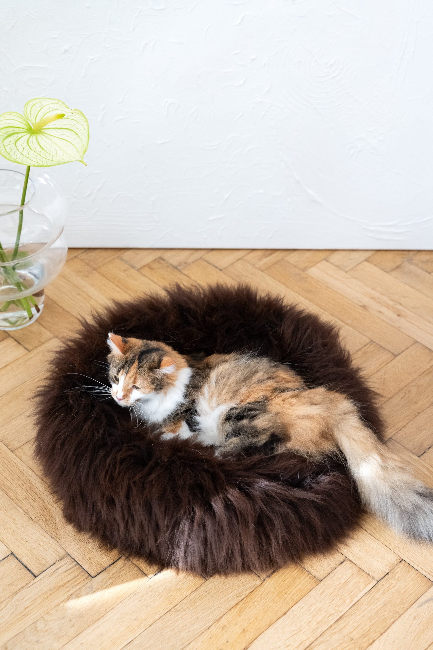Round Natural Sheepskin Pet Bed - Brown - immagine 5
