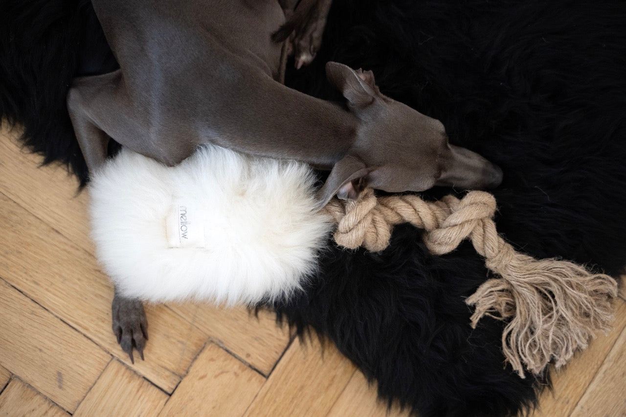 Natural Sheepskin Dog Tug Toy - White - immagine 4