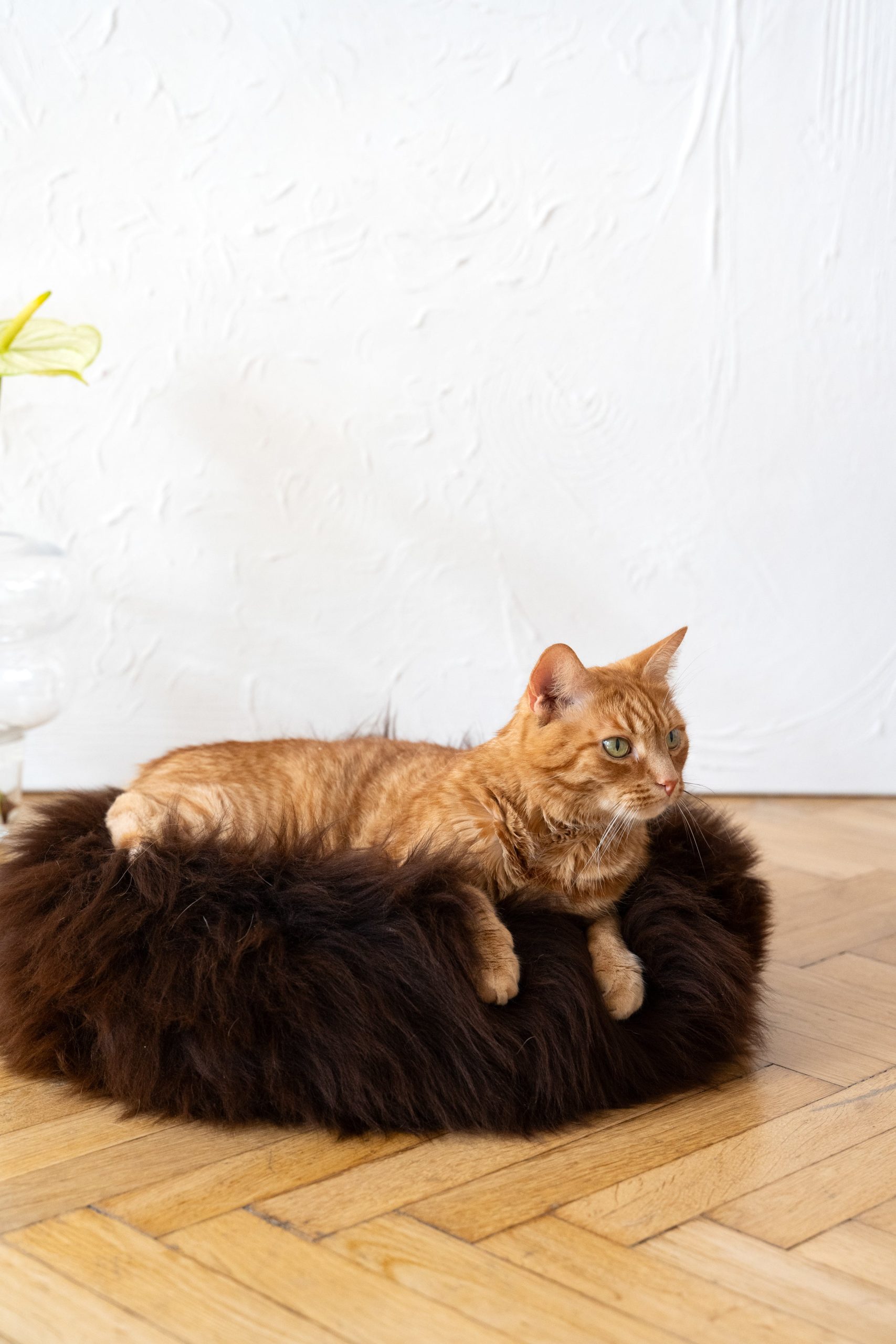 Round Natural Sheepskin Pet Bed - Brown - immagine 2