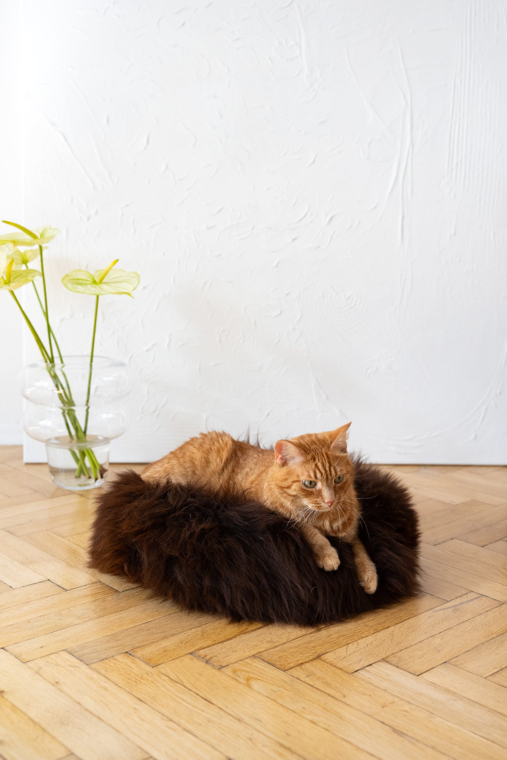 Round Natural Sheepskin Pet Bed - Brown - immagine 4