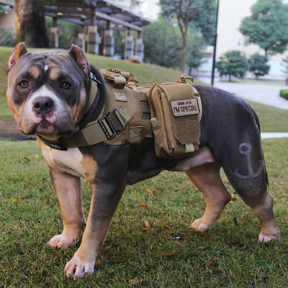 Tactical Dog Vest - immagine 3