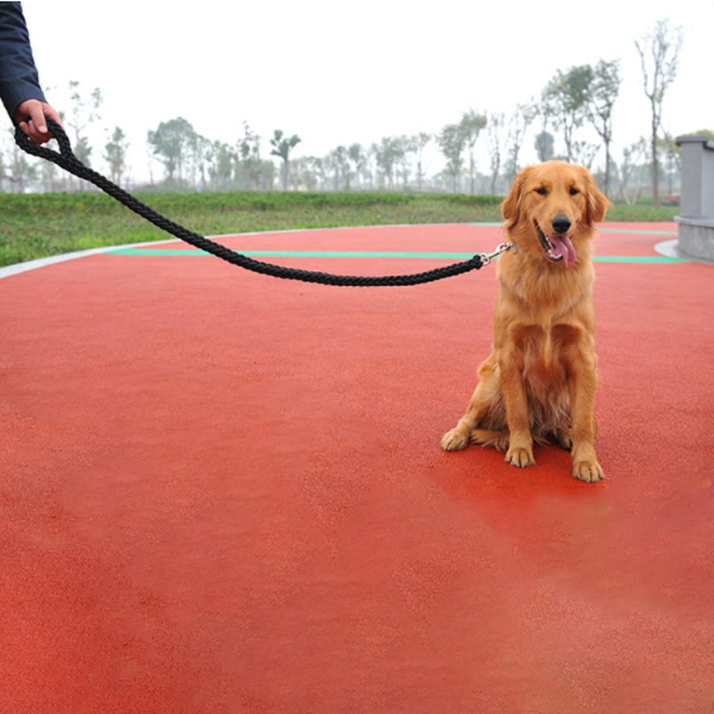Nylon Dog Harness Leash - immagine 5