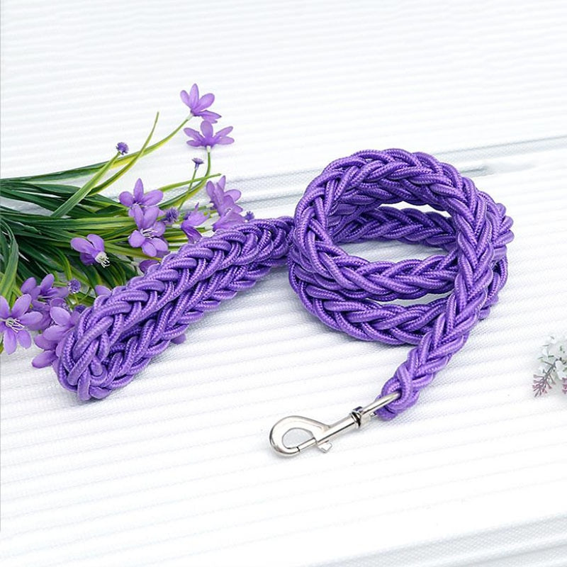 Nylon Dog Harness Leash - immagine 15