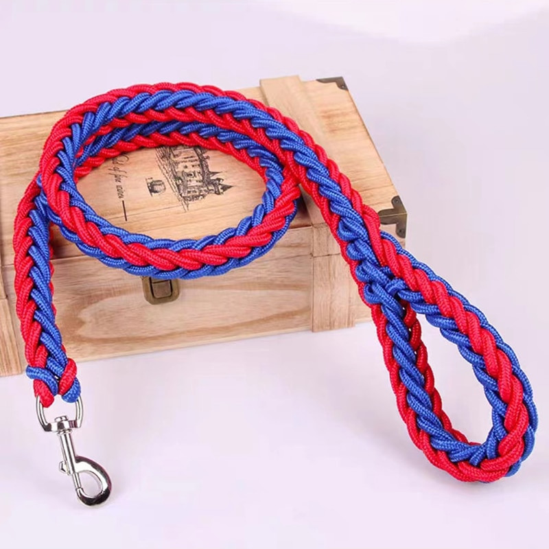 Nylon Dog Harness Leash - immagine 19