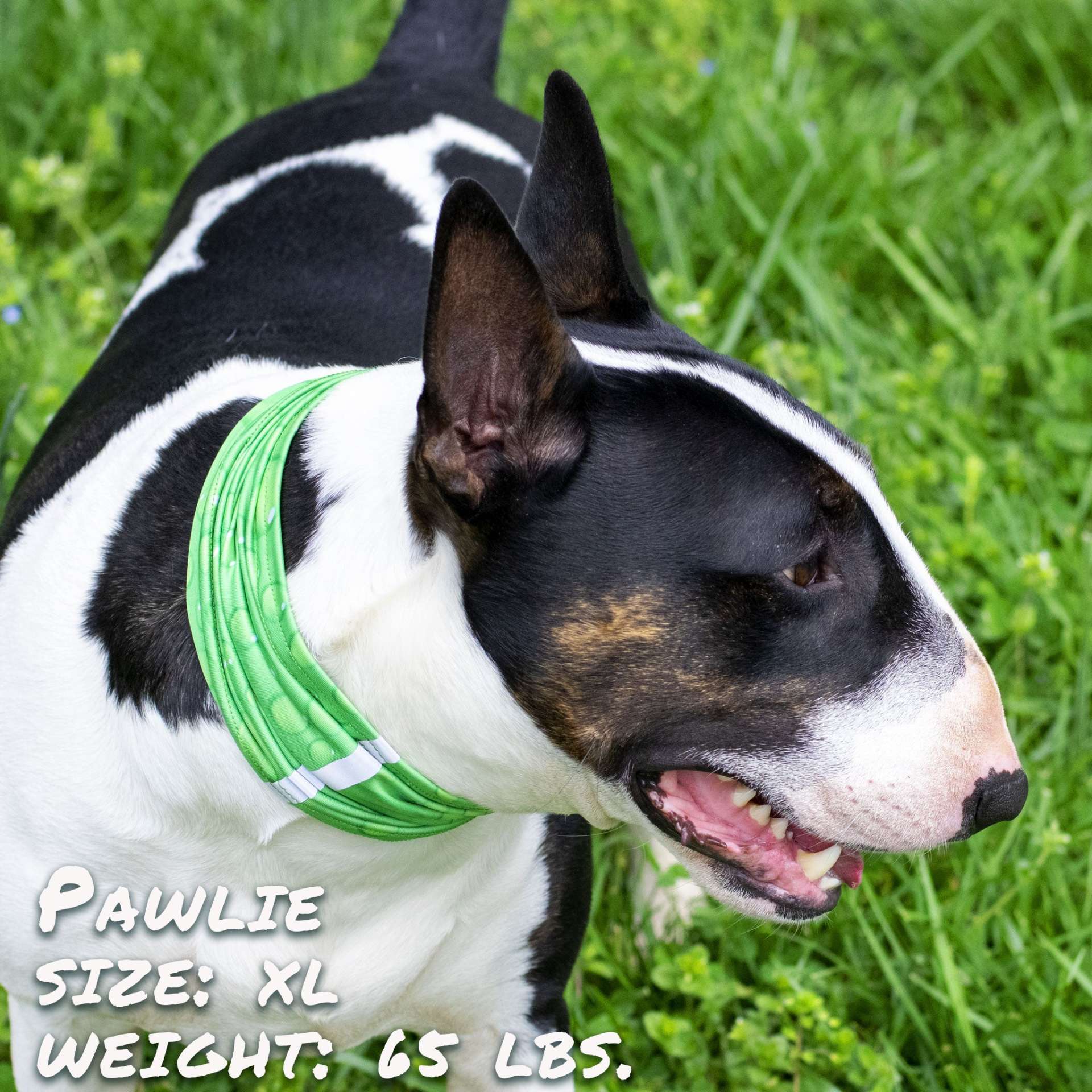 Drops of LIME Pup Scruff - immagine 3