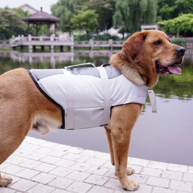 Pet Vest Life Jacket - immagine 9