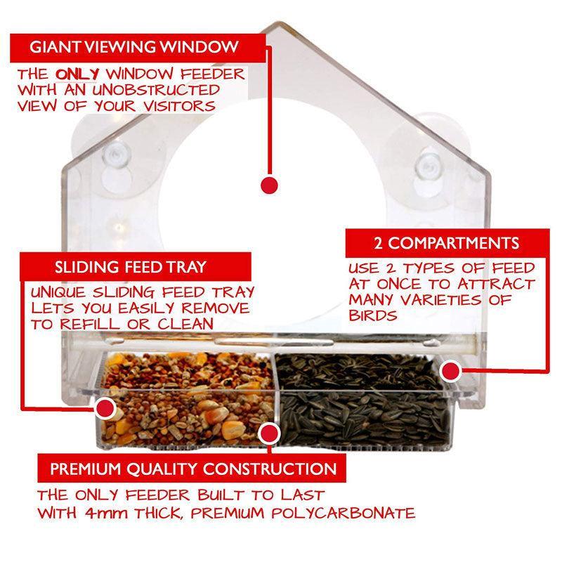Bird's Eye View: Smart Bird Feeder With Live Camera Feed - immagine 4