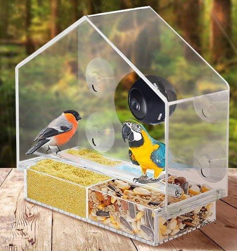 Bird's Eye View: Smart Bird Feeder With Live Camera Feed - immagine 3