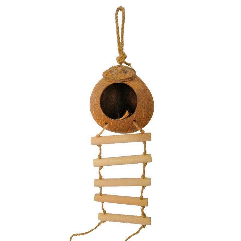 Coconut Shell Paradise Bird Nest - immagine 6