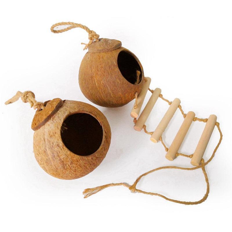 Coconut Shell Paradise Bird Nest - immagine 3