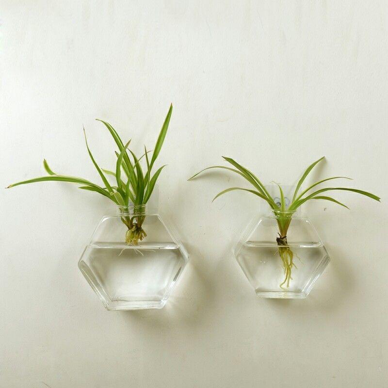 Geometric Glass Hanging Fish Tank - immagine 7
