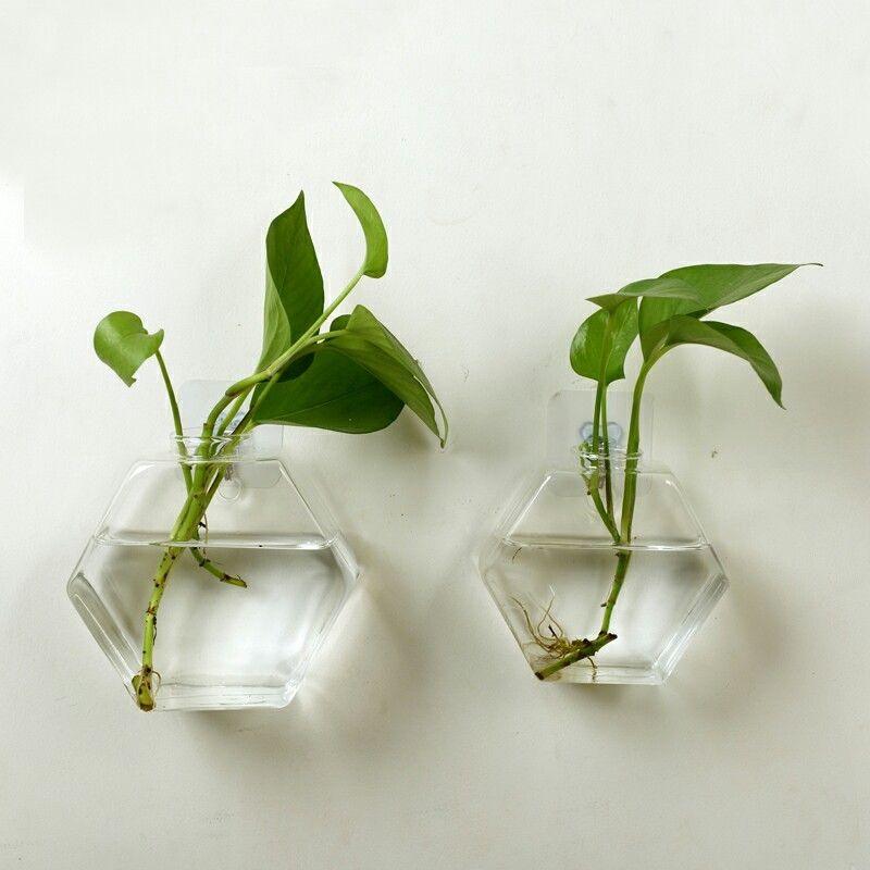 Geometric Glass Hanging Fish Tank - immagine 2