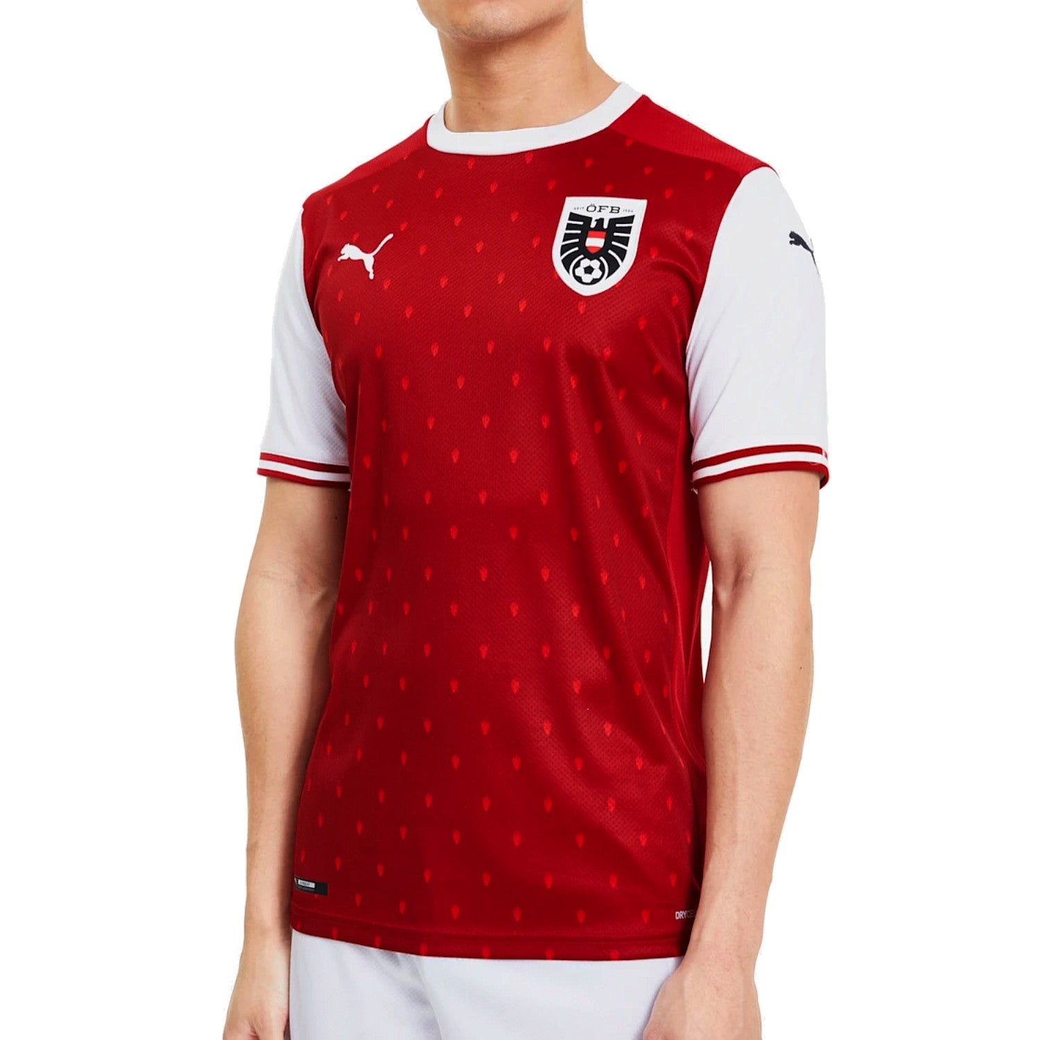 Austria national team Home soccer jersey 2020/21 - Puma - immagine 3