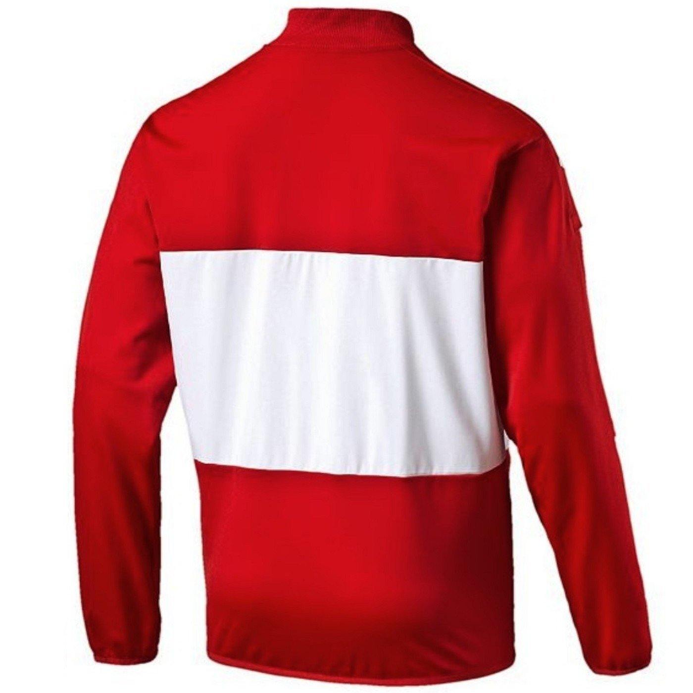 Austria national team presentation Soccer jacket 2016/17 - Puma - immagine 2