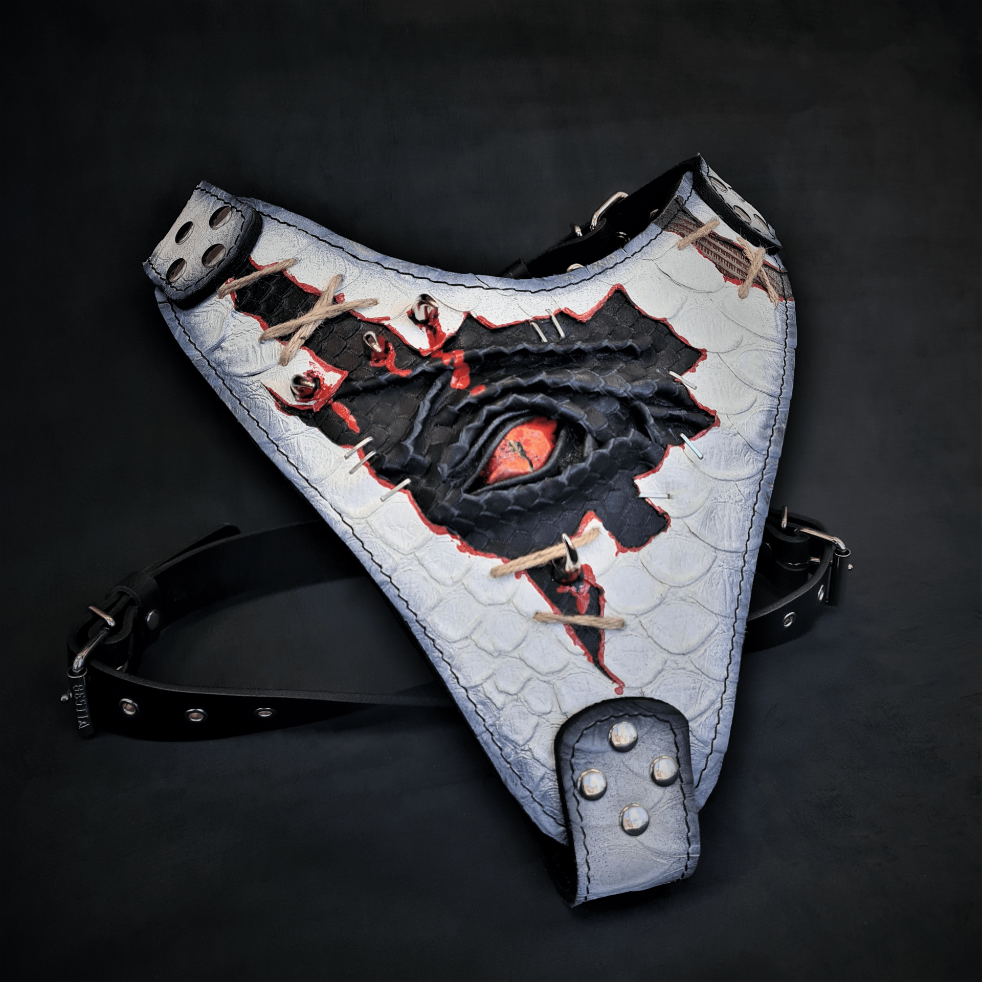 The “Dragon's Eye” Harness LIMITED! - immagine 6