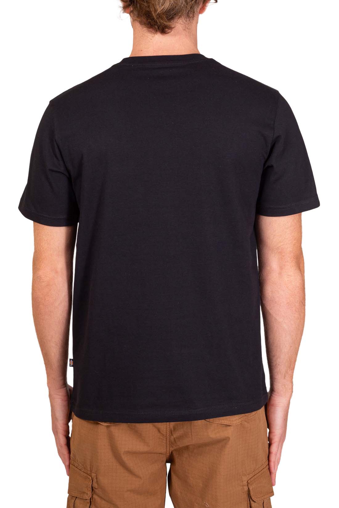 DICKIES - Men's Mapleton T-shirt  - Size XL - immagine 3