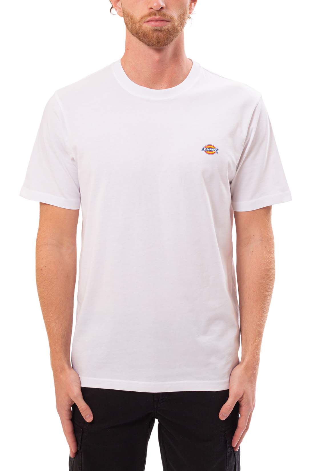 DICKIES - Men's Mapleton T-shirt  - Size XL - immagine 38