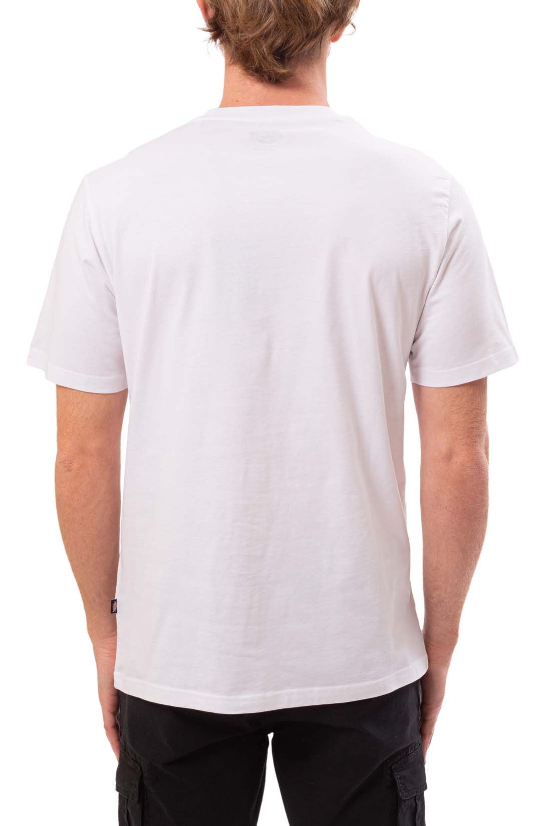 DICKIES - Men's Mapleton T-shirt  - Size XL - immagine 31