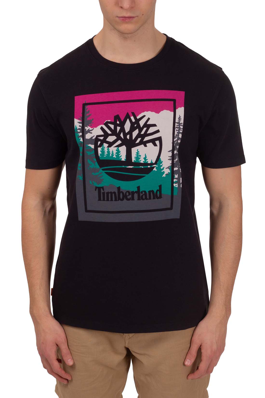 TIMBERLAND - Men's T-shirt with colorblock logo - immagine 19
