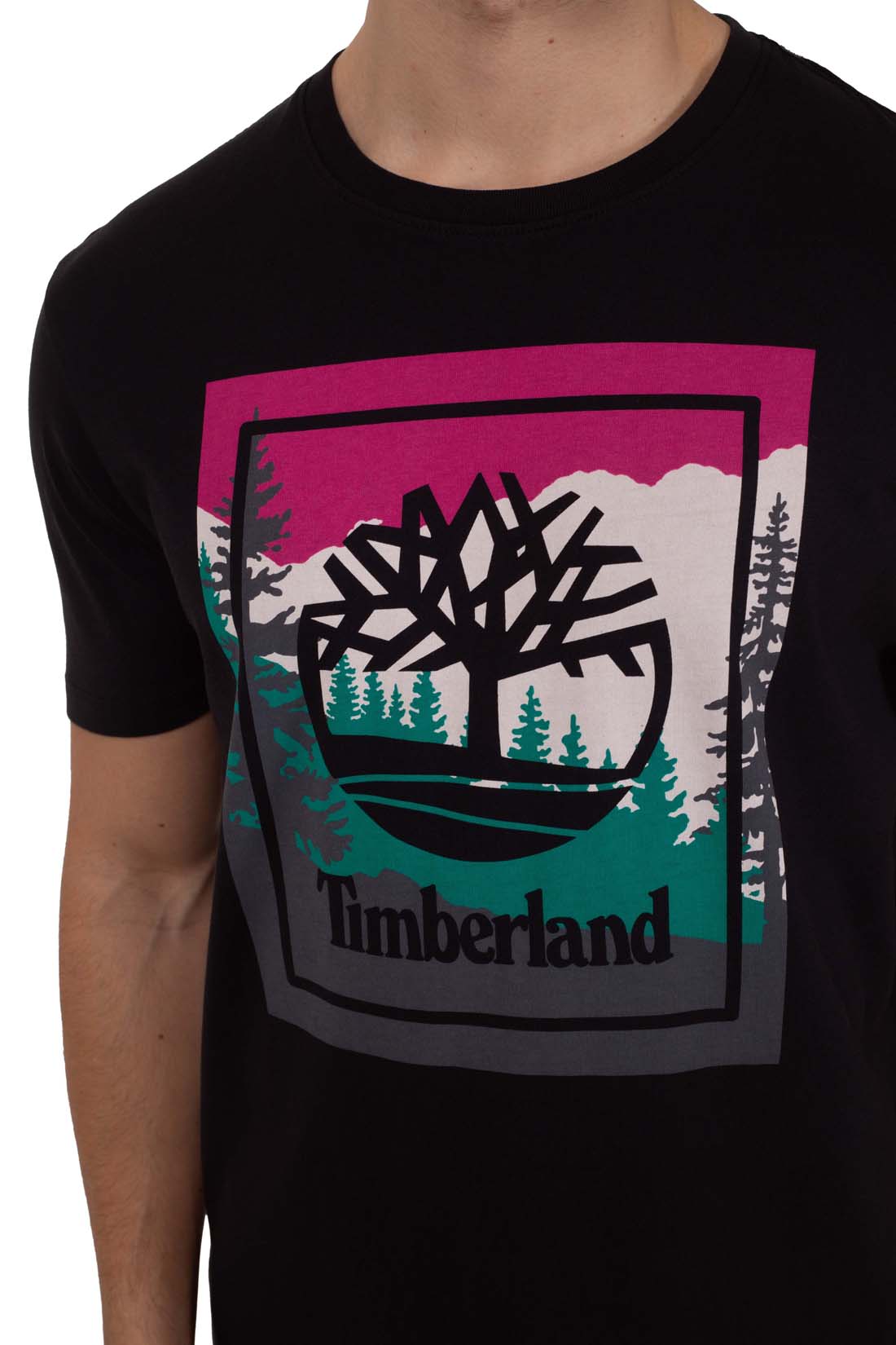 TIMBERLAND - Men's T-shirt with colorblock logo - immagine 9