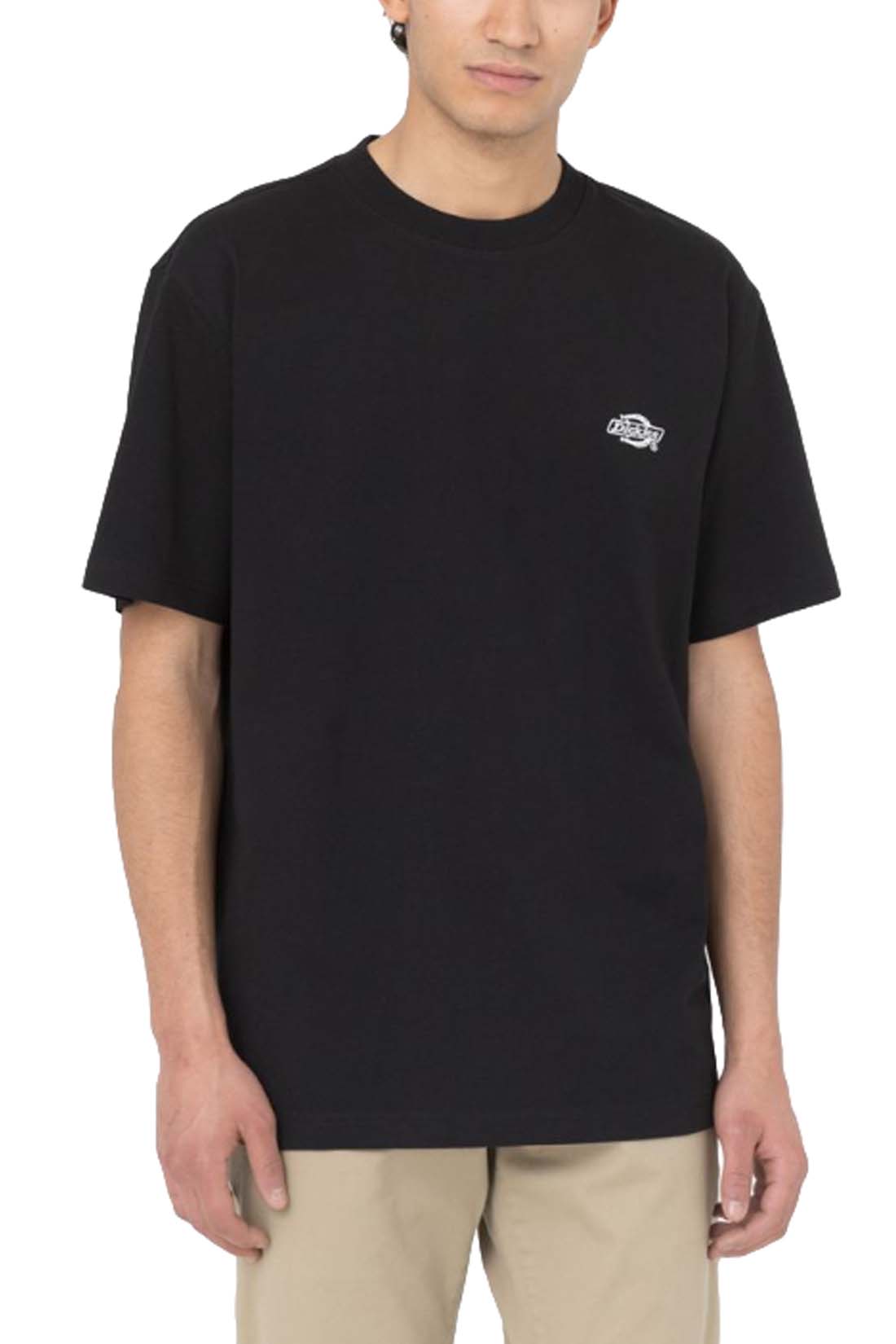 DICKIES - T-shirt uomo Summerdale - Taglia XXL - immagine 60