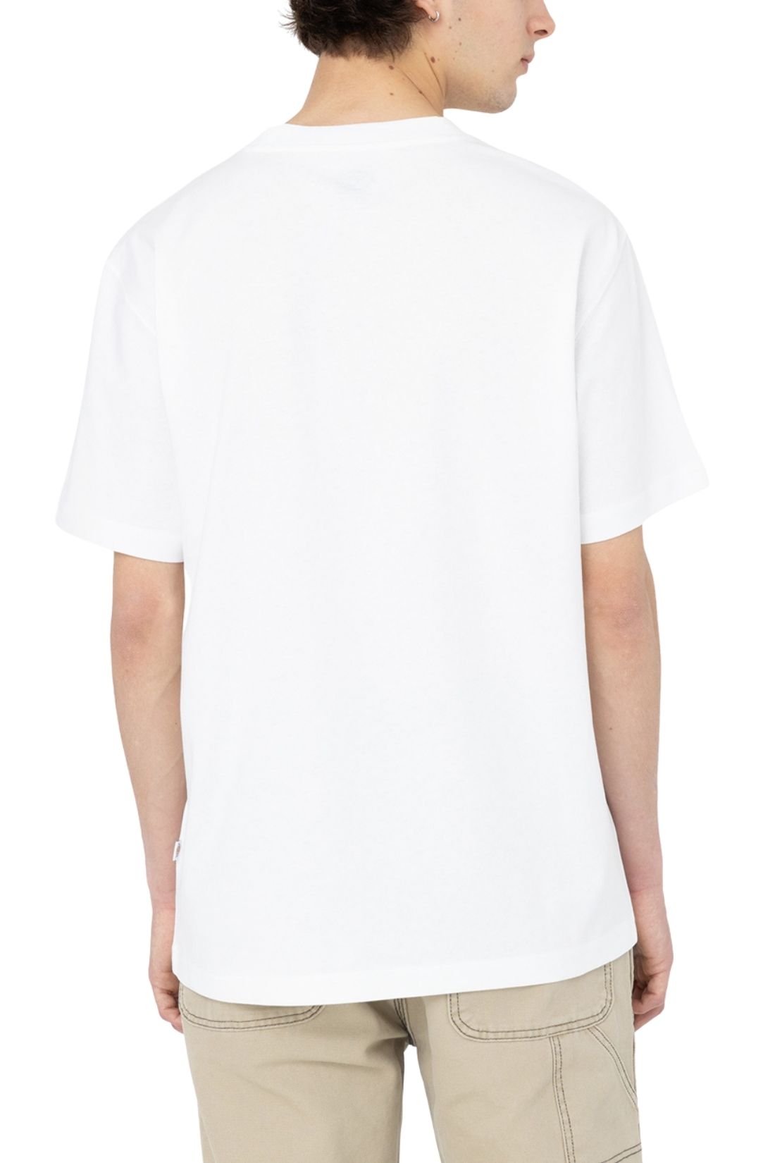 DICKIES - T-shirt uomo Summerdale - Taglia XXL - immagine 55