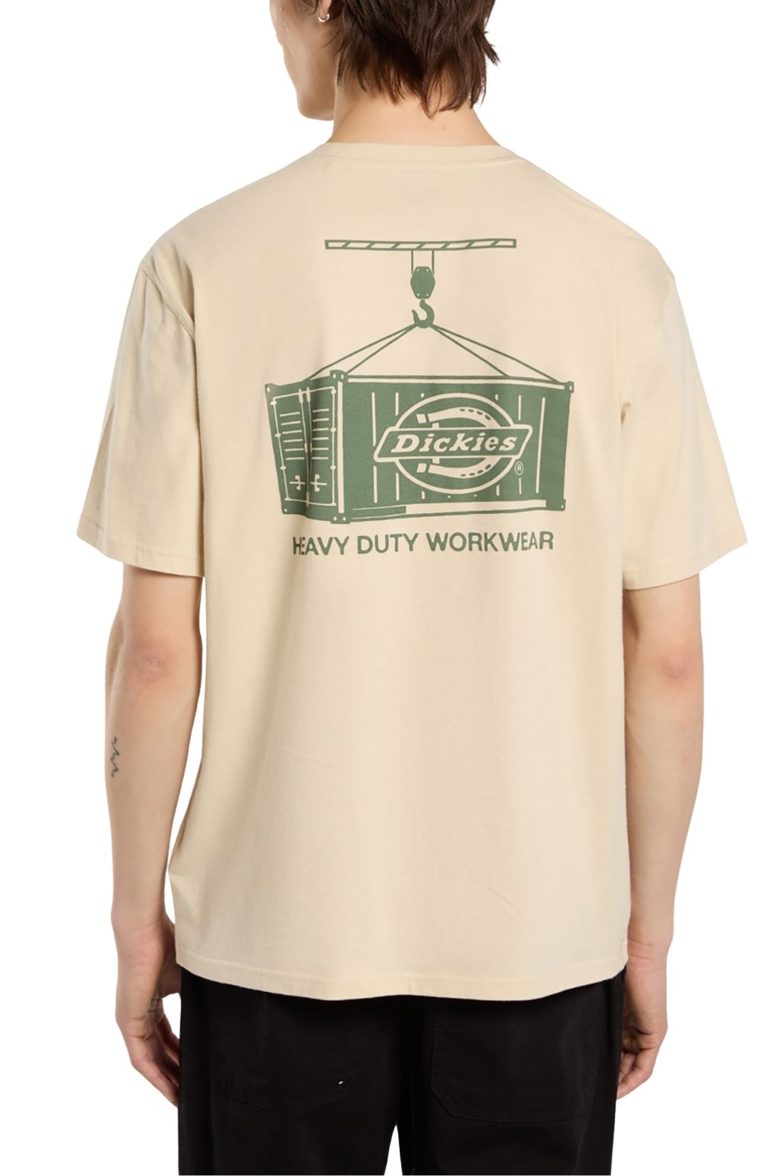 DICKIES - Men's Apison T-shirt - immagine 16