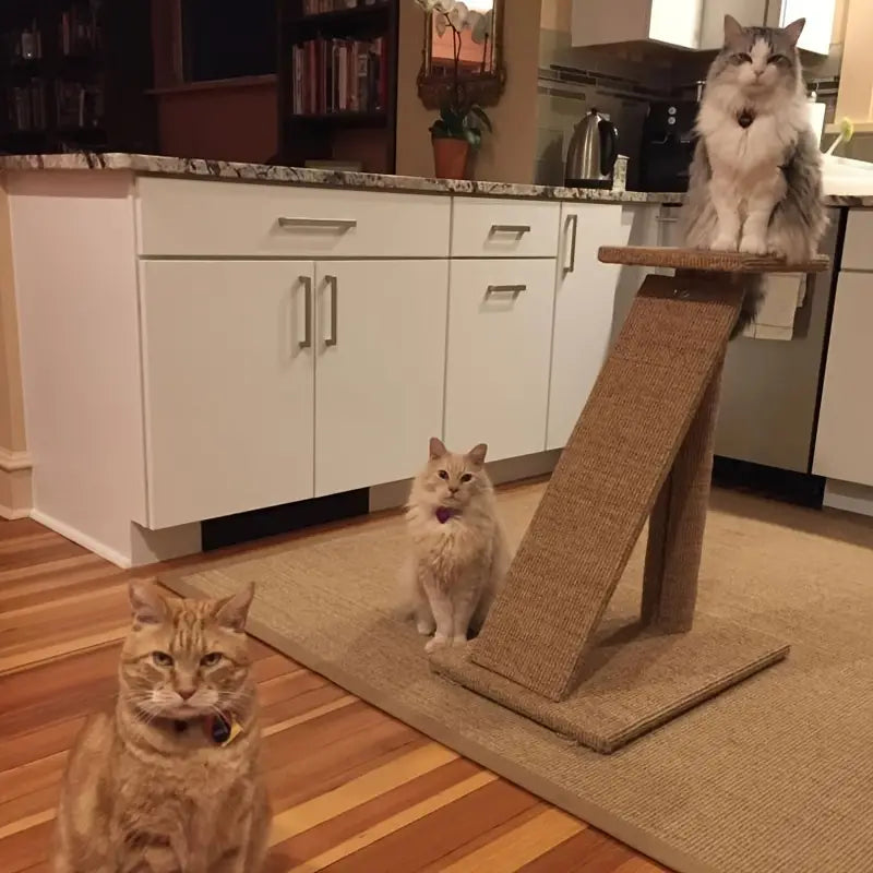 Premium Natural Sisal Cat Scratcher Mat: Durable Protection for Your Furniture - immagine 2