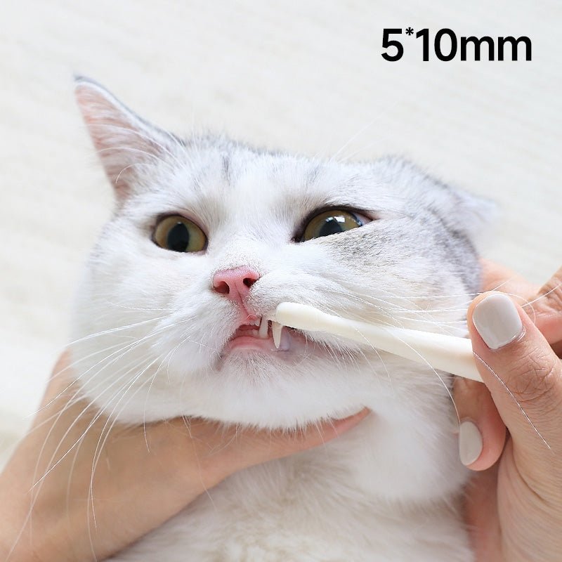 Small 7-Head Soft Bristle Pet Toothbrush for Cats & Small Dogs - immagine 3