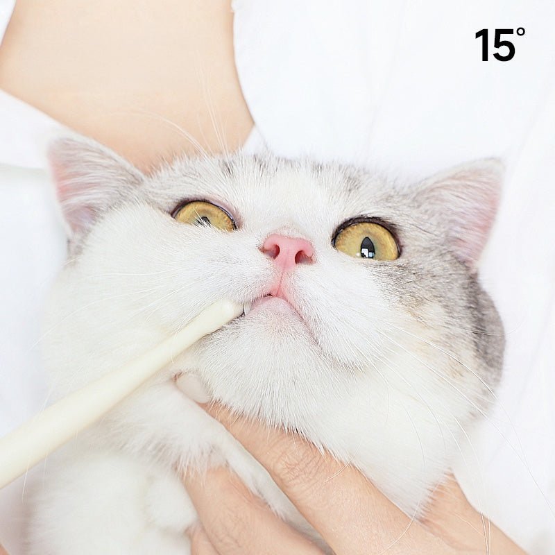 Small 7-Head Soft Bristle Pet Toothbrush for Cats & Small Dogs - immagine 4