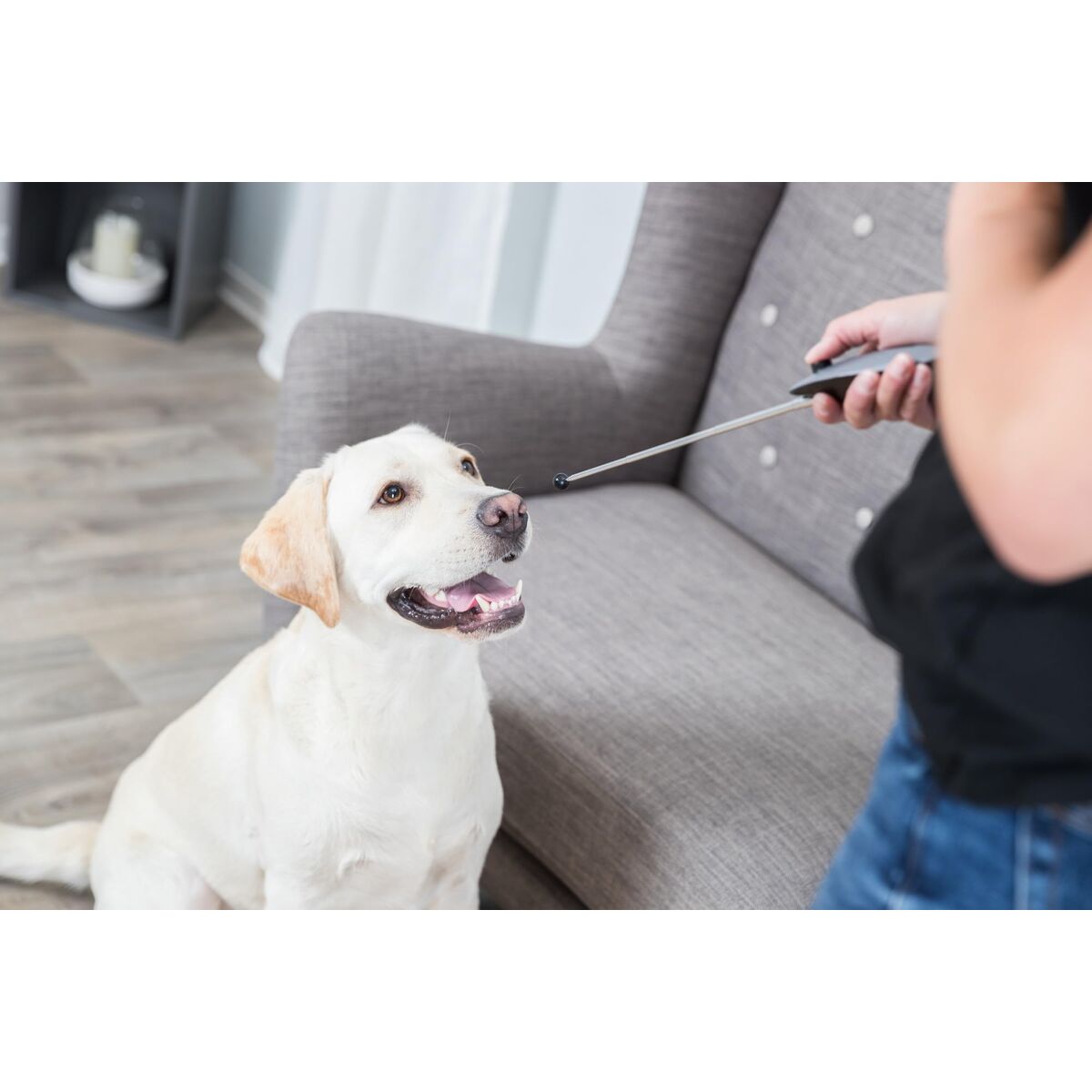 Training toy Trixie - immagine 2
