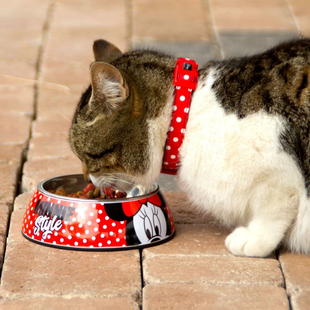 Dog Feeder Minnie Mouse Red Melamin 180 ml Black Metal - immagine 6