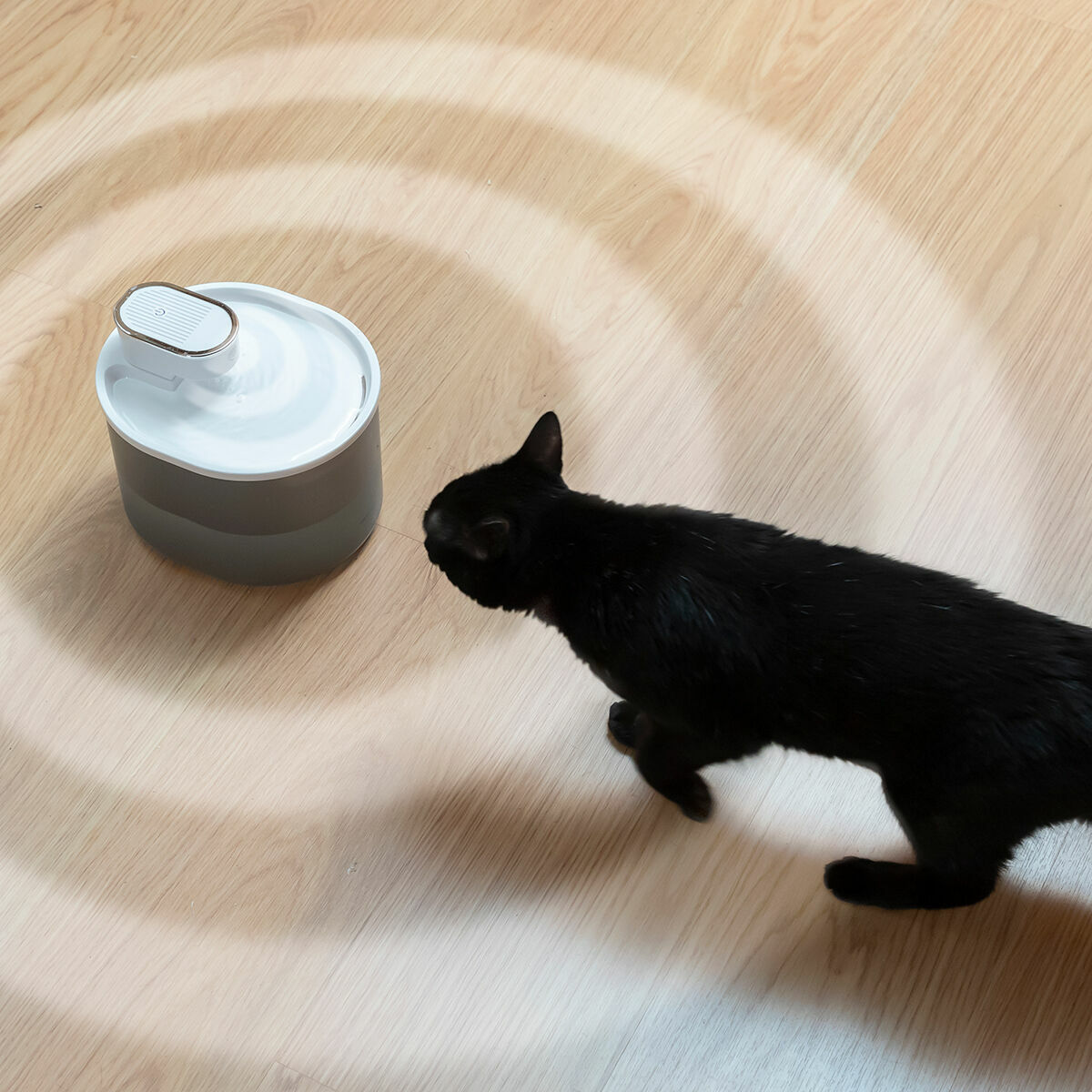 Rechargeable Cat Water Fountain with Sensor Refopet InnovaGoods - immagine 12