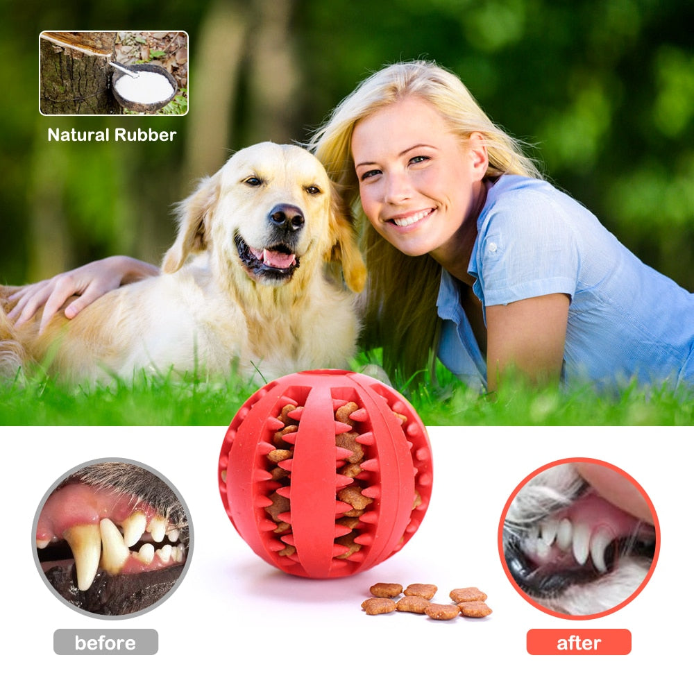 Pet Chewing Tooth Cleaning Toy - immagine 4
