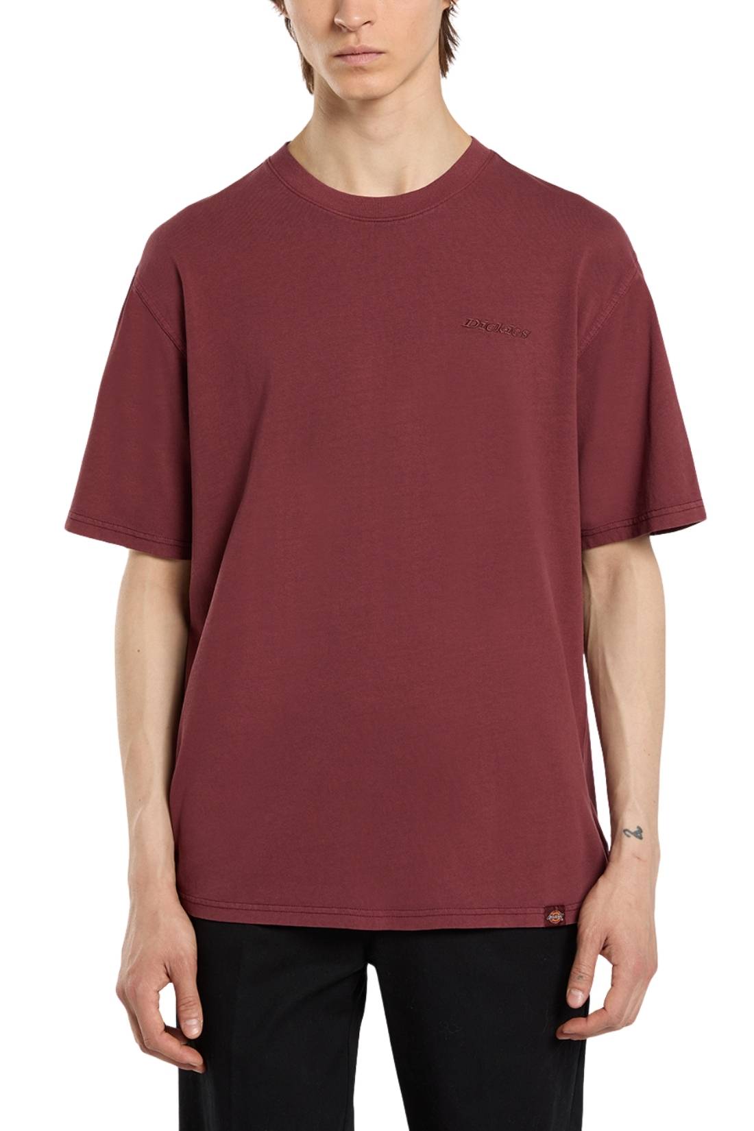 DICKIES - Men's Plentywood T-shirt - immagine 11