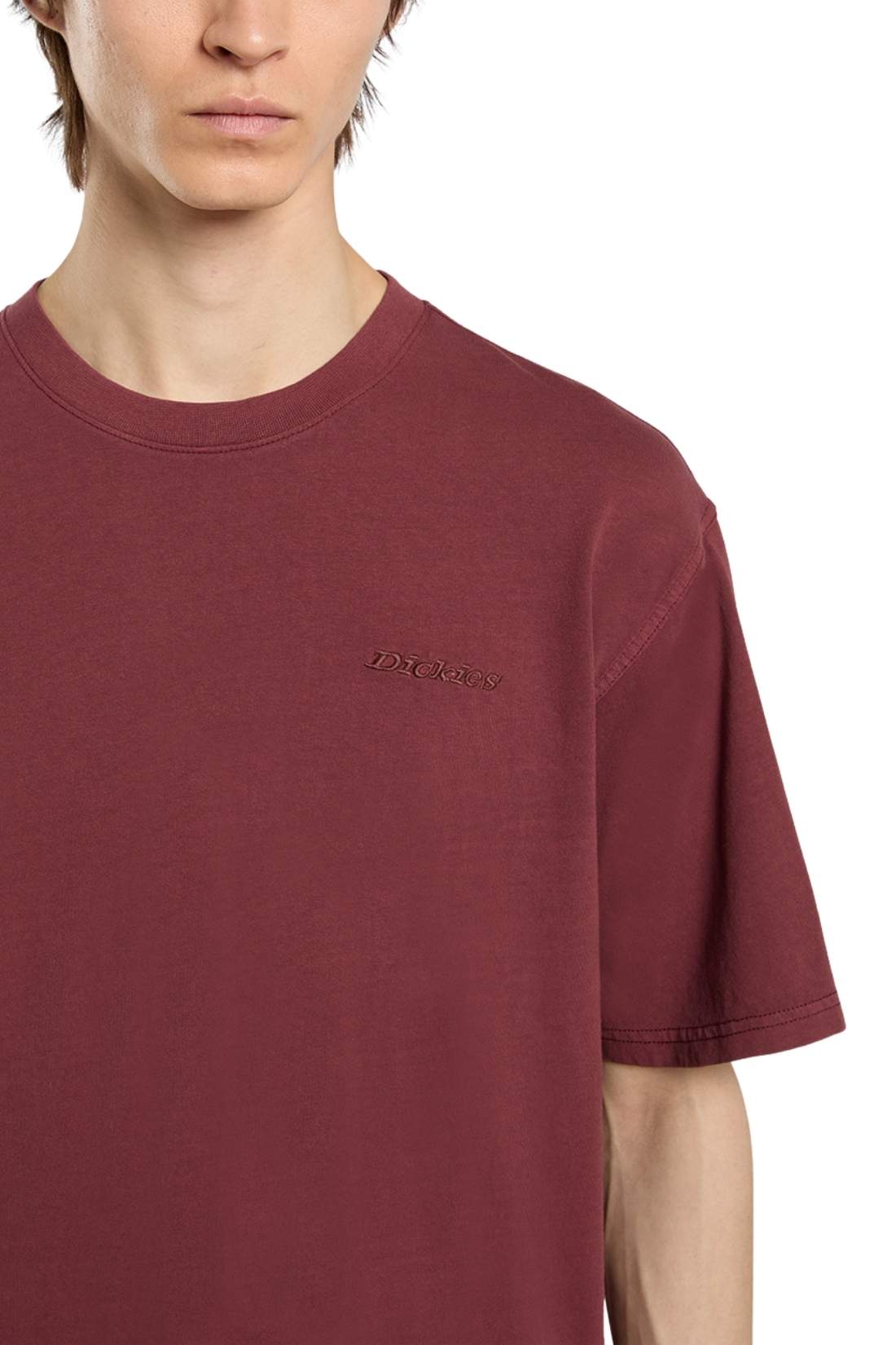 DICKIES - Men's Plentywood T-shirt - immagine 14