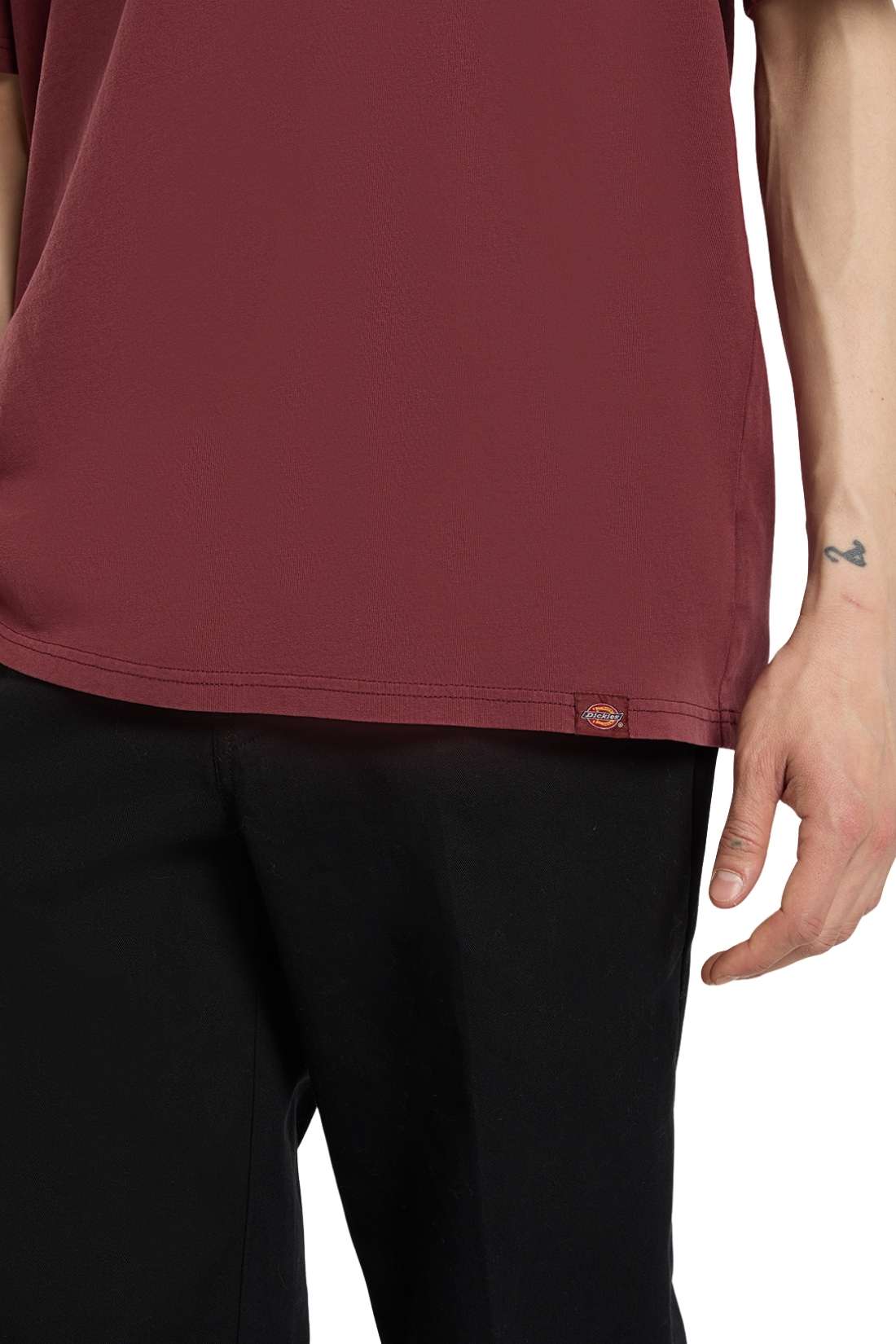 DICKIES - Men's Plentywood T-shirt - immagine 15