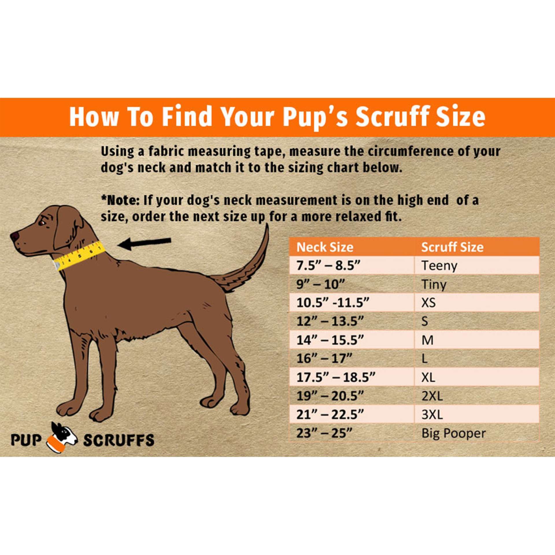 The Wanderer Pup Scruff - immagine 3