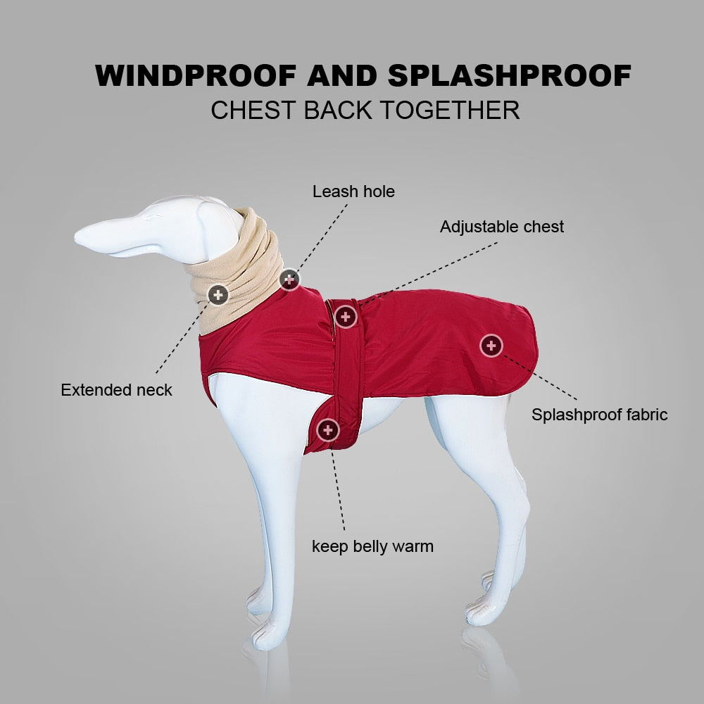Winter Warm Dog Clothes - immagine 4