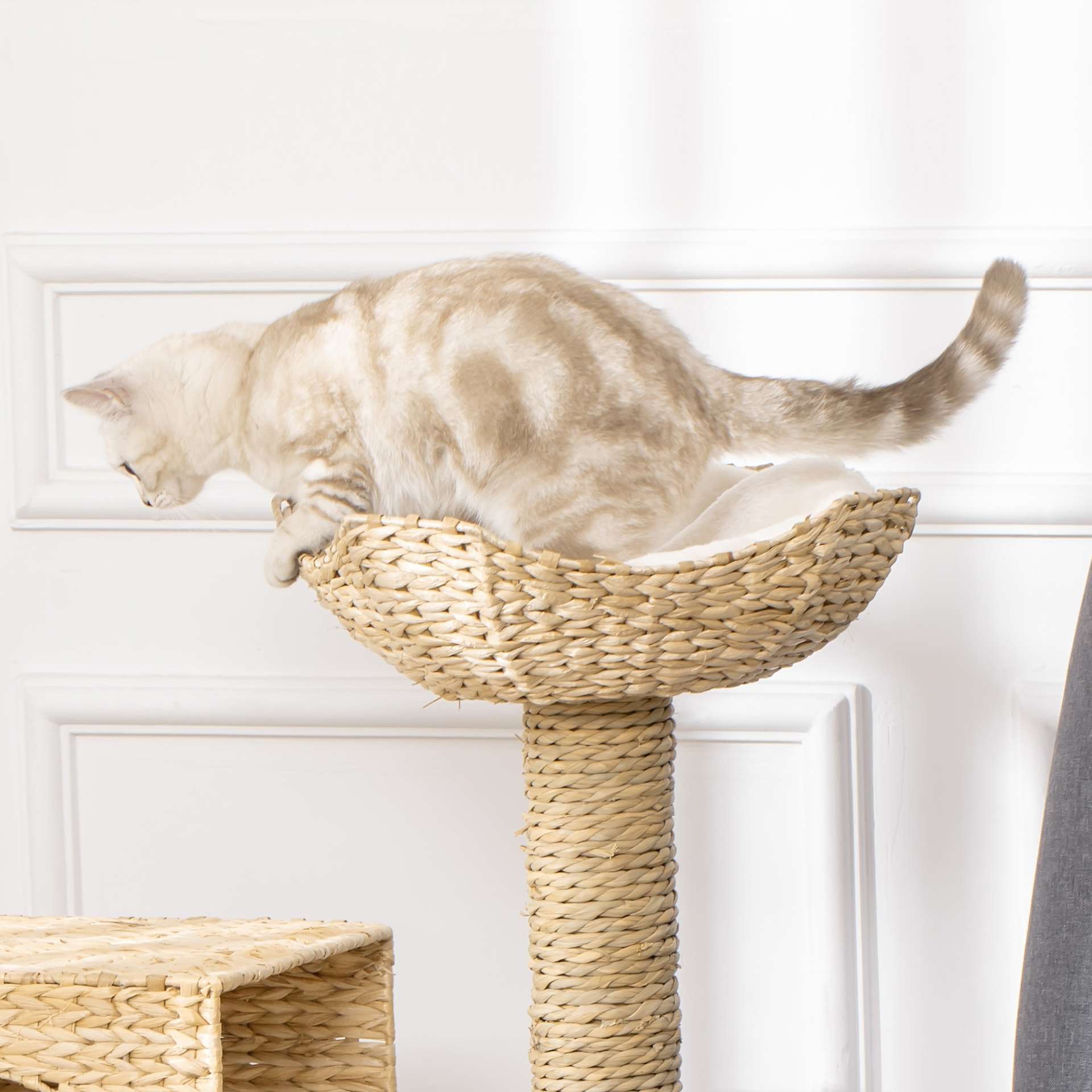 Arbre à chat arbre à grimper griffoir pour chat hauteur 100,5 cm avec coussins et échelle centre d'activités poteaux en quenouille - immagine 9