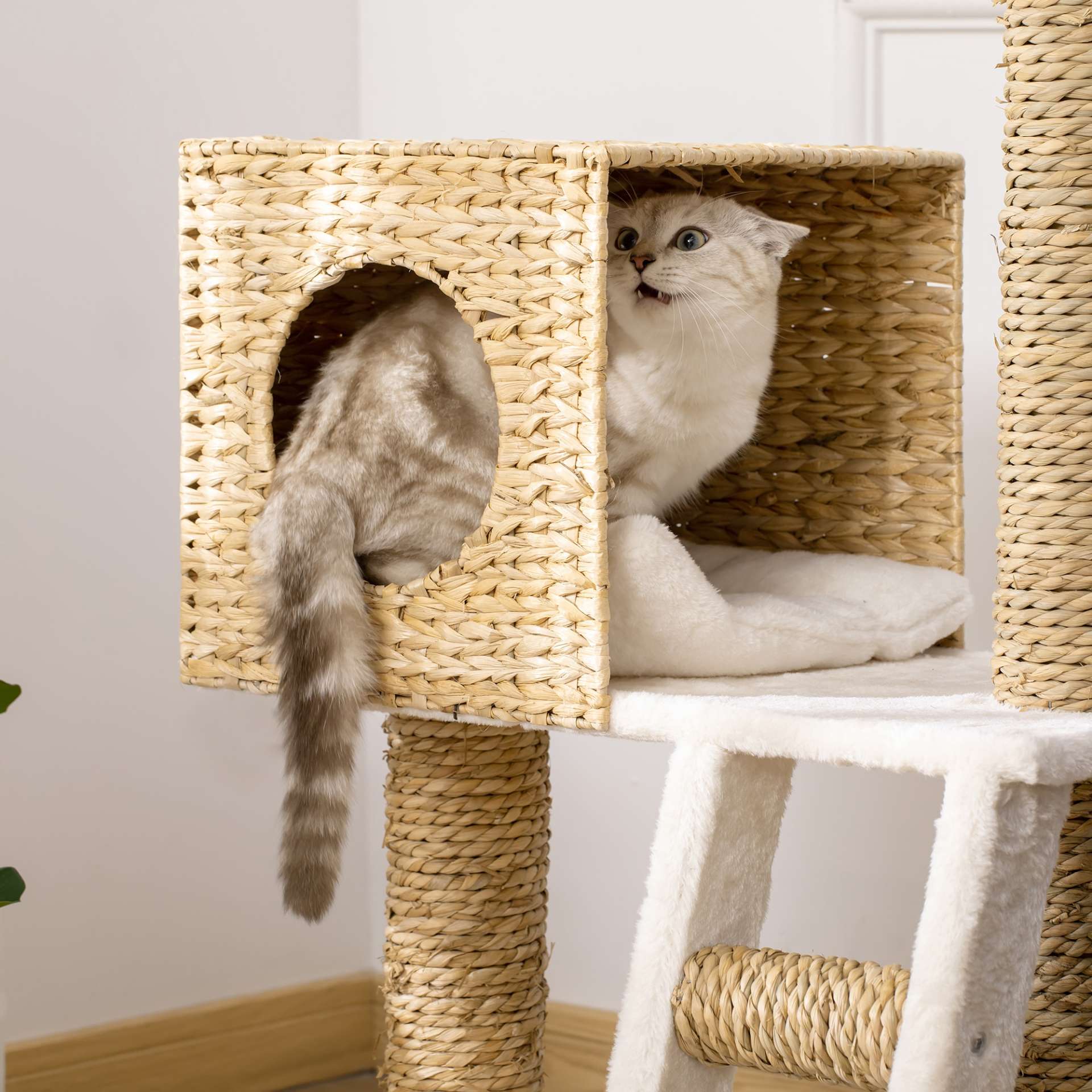 Arbre à chat arbre à grimper griffoir pour chat hauteur 100,5 cm avec coussins et échelle centre d'activités poteaux en quenouille - immagine 8
