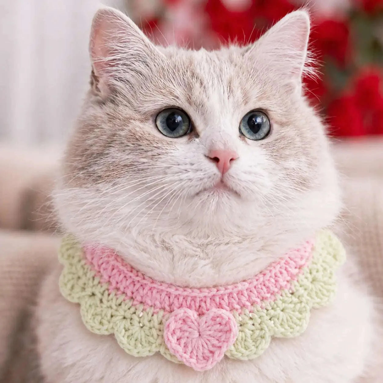 Crochet Pet Collar Handmade – Adjustable Soft Scarf for Cats & Small Dogs - immagine 10
