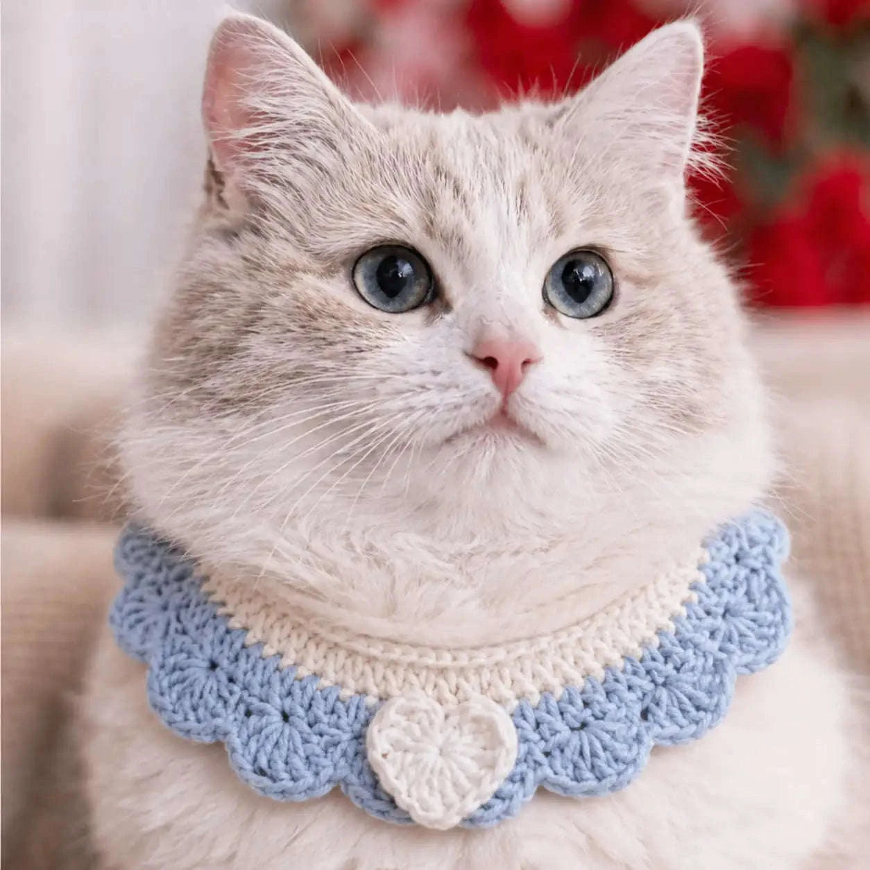 Crochet Pet Collar Handmade – Adjustable Soft Scarf for Cats & Small Dogs - immagine 4