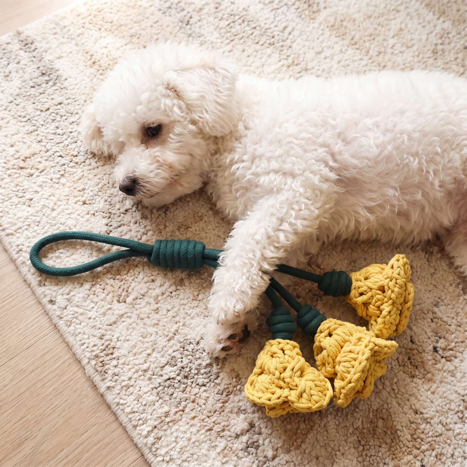 Miss Yellow: Daylily Tug Snuffle Tug Toy - immagine 5