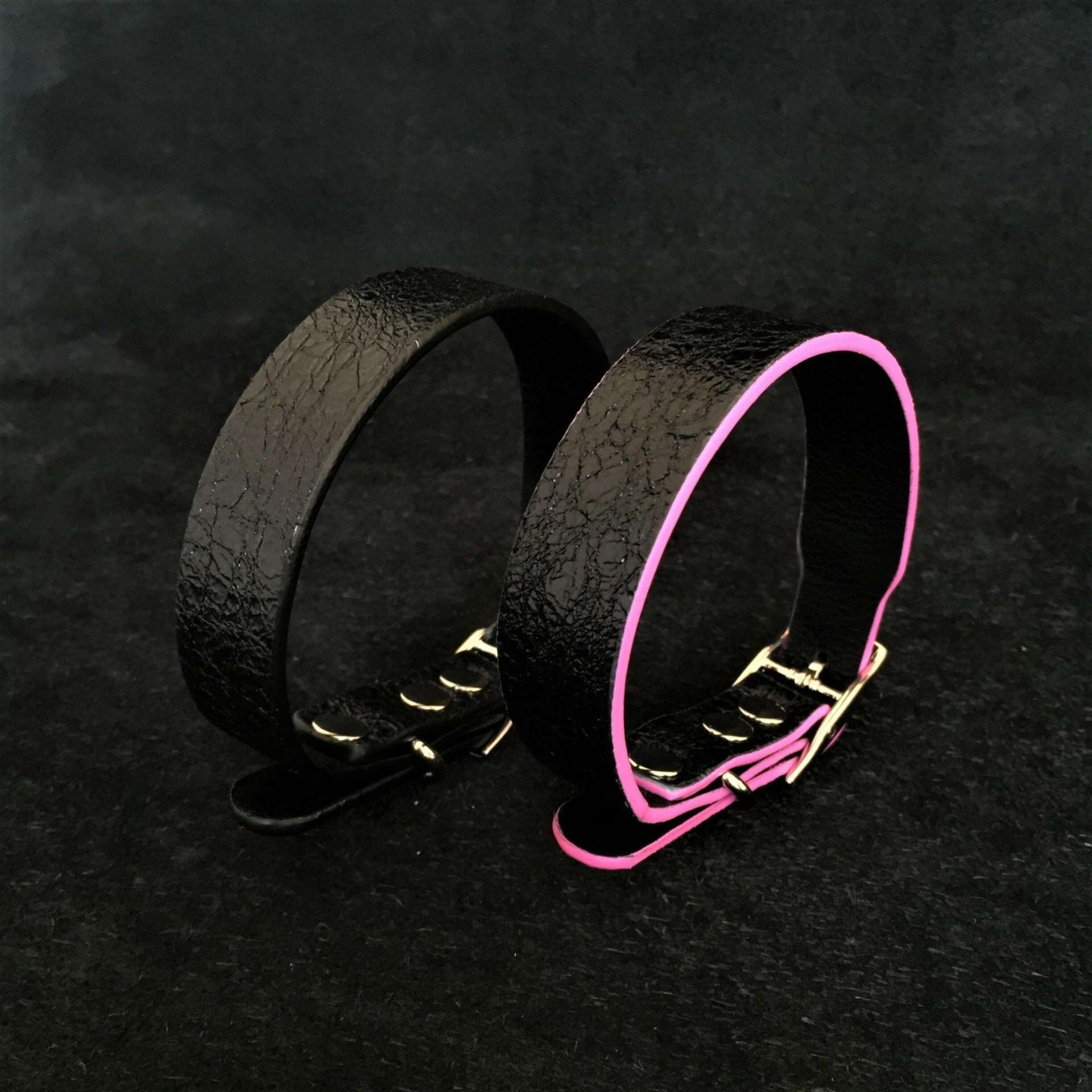The ''Taurus'' puppy collar - immagine 2
